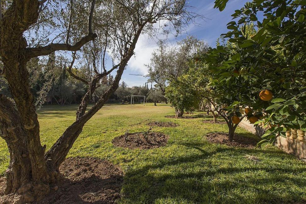 Villa Zahra Palmeraie Marrakesh