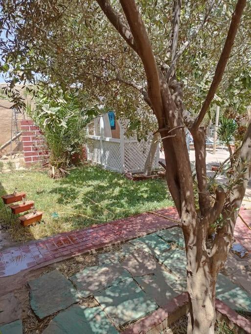 Dar Jamila Apartment *