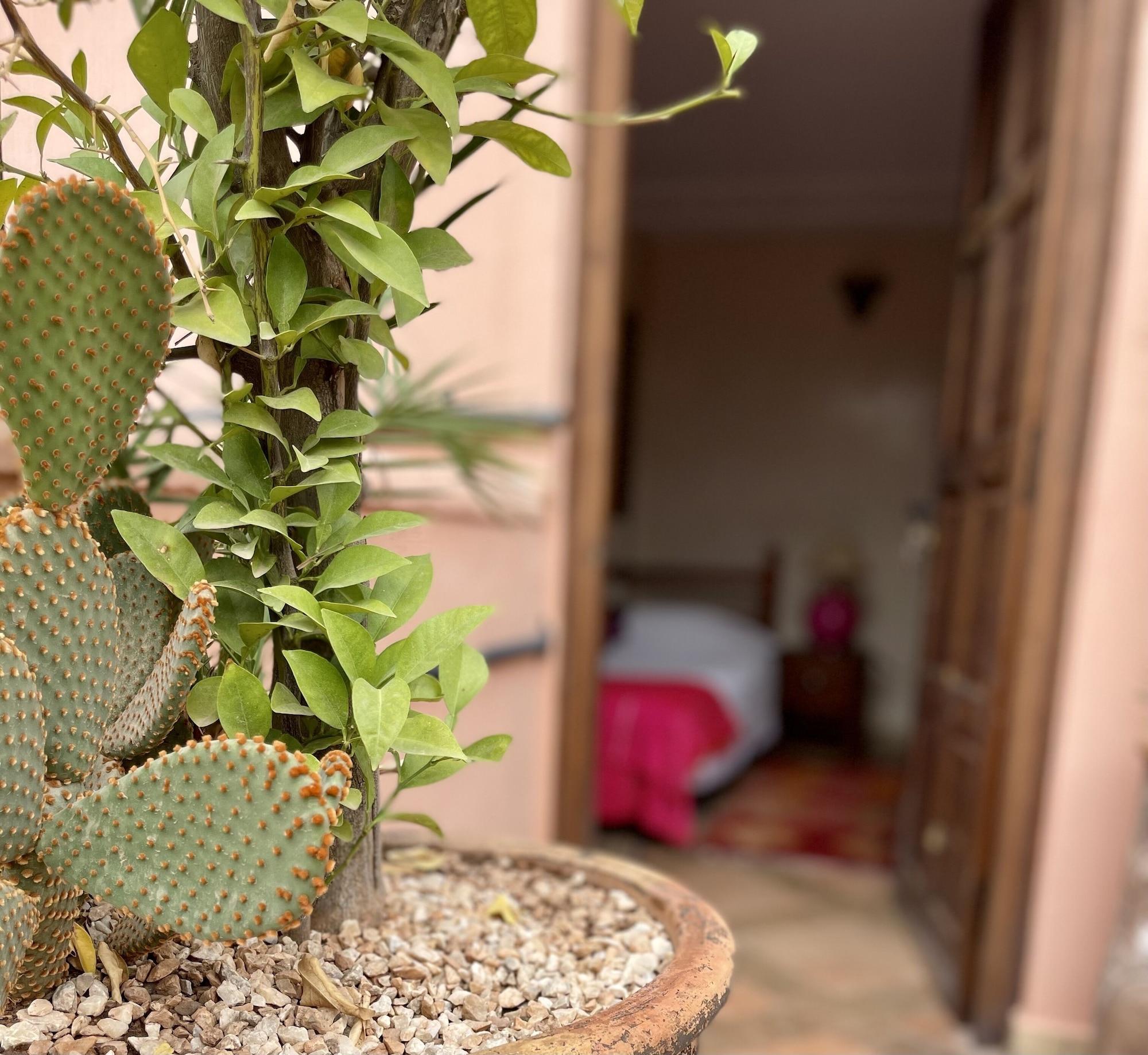 Riad Elias&spa 4*