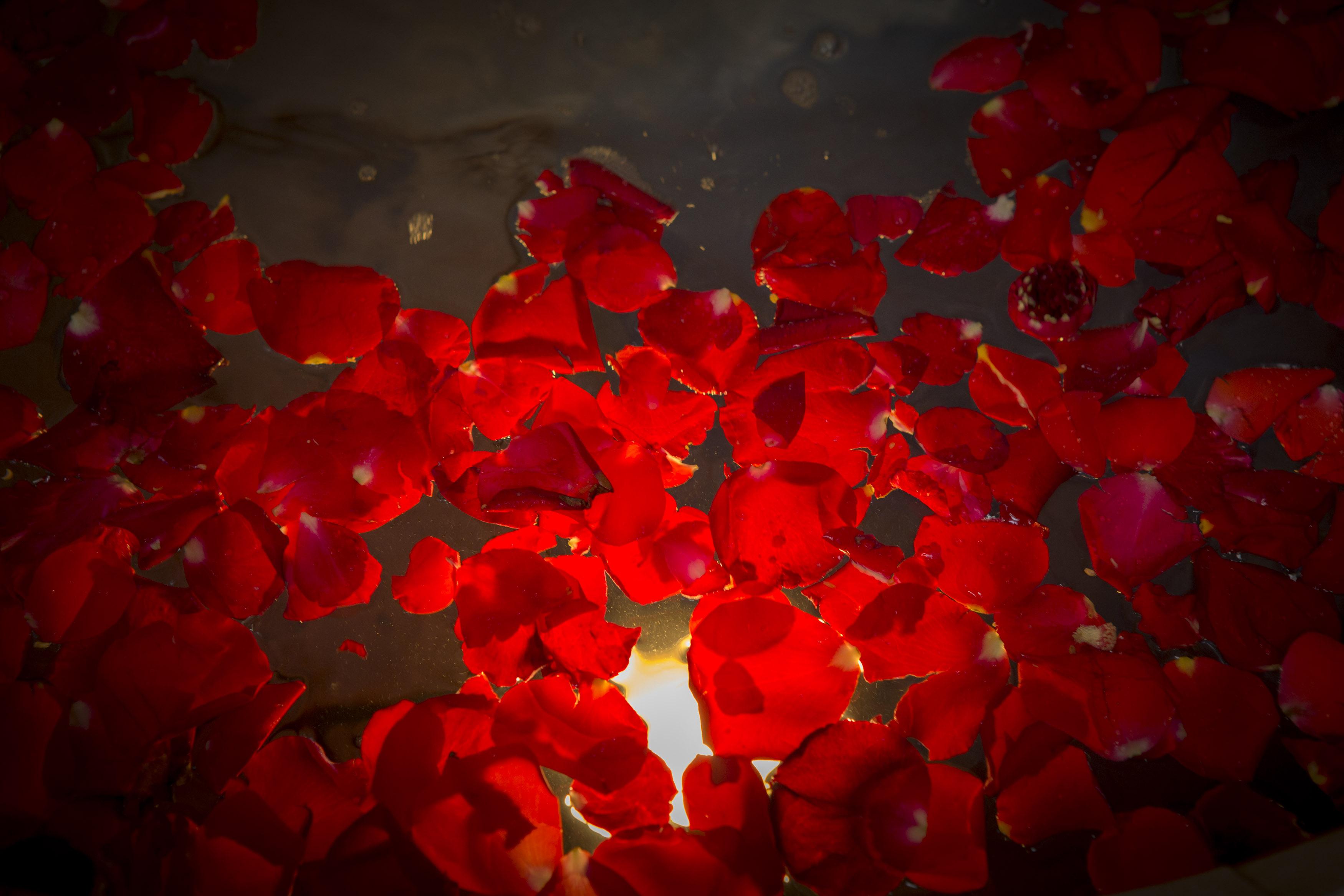 Rose Du Desert Riad 3*
