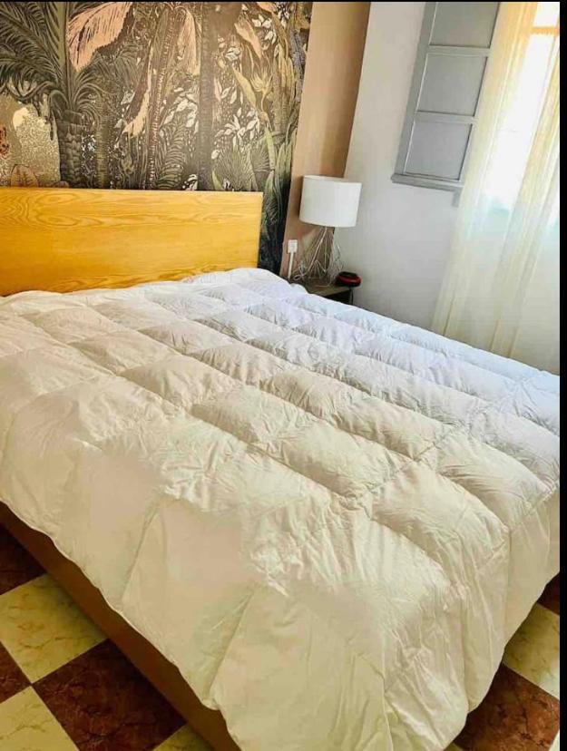 Apartment Yaniss Pharmacie Plaza *