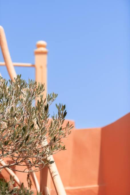 Le Petit Bacha Marrakesh
