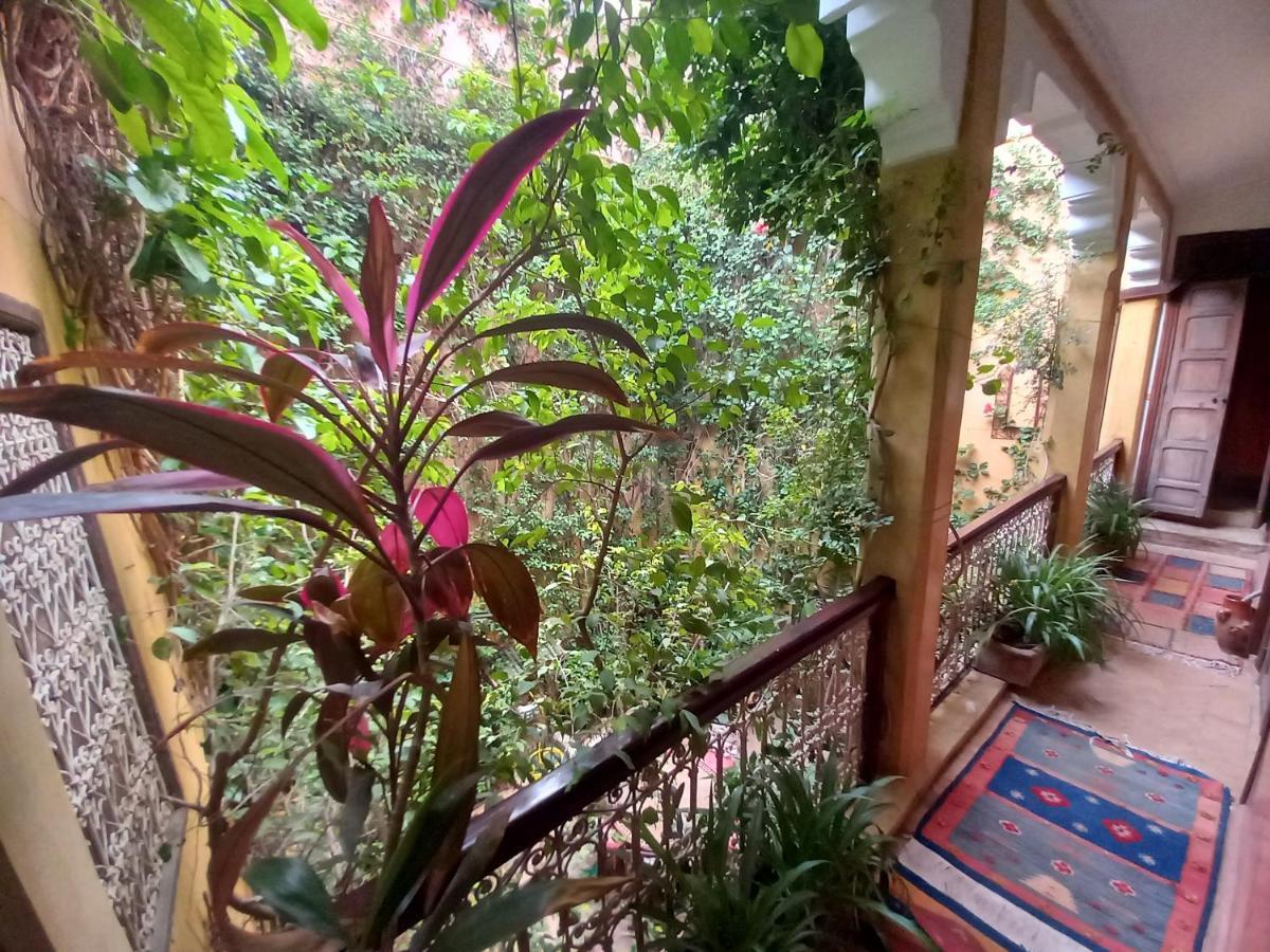 Lumieres Du Sud Riad *