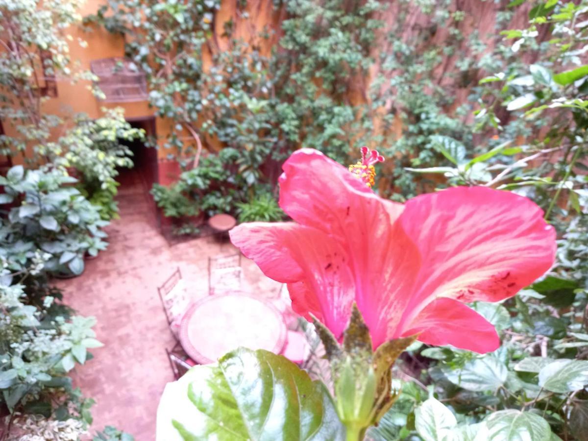 Riad Lumieres Du Sud Marrakesh