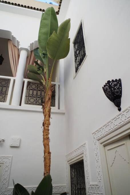 Les Jardins De Kenza, Idealement Situe, 5 Minutes De La Place Jemaa El Fna Holiday home Marrakesh
