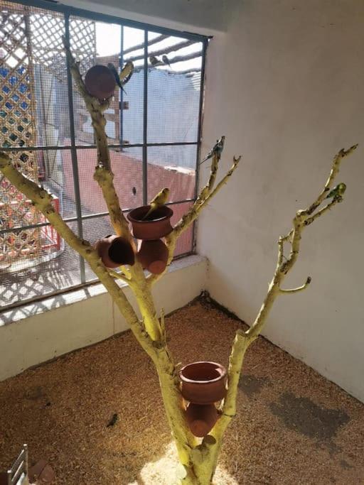 Marrakech Luxury Farm