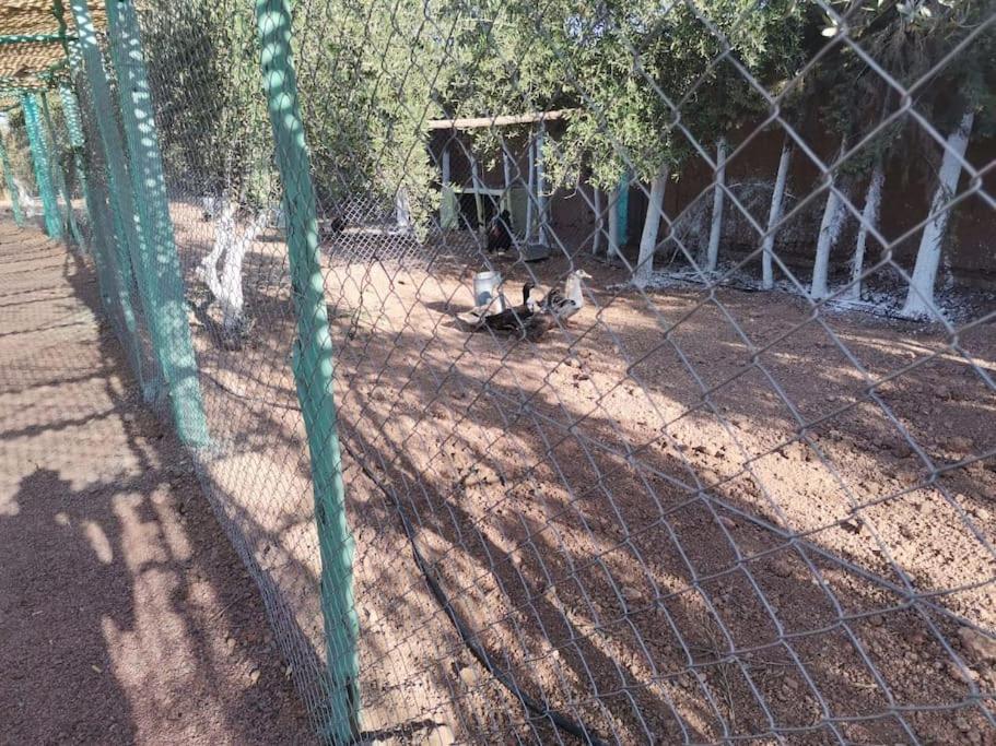 Marrakech Luxury Farm