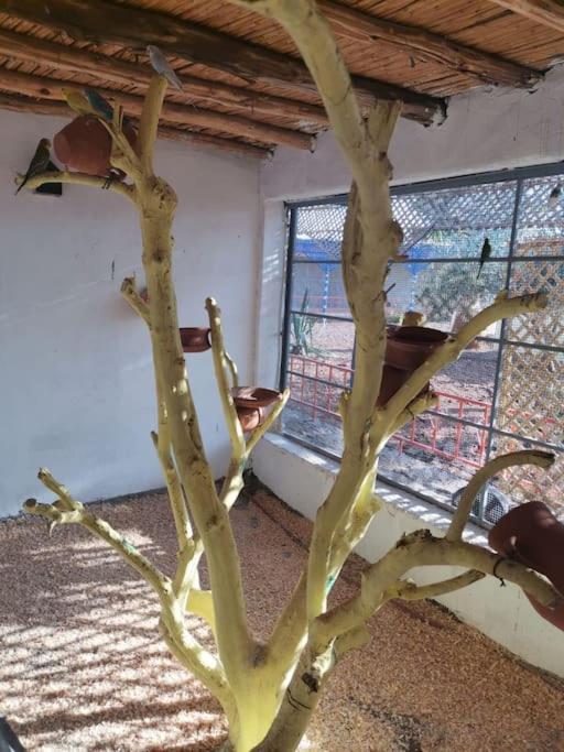 Villa Marrakech Luxury Farm