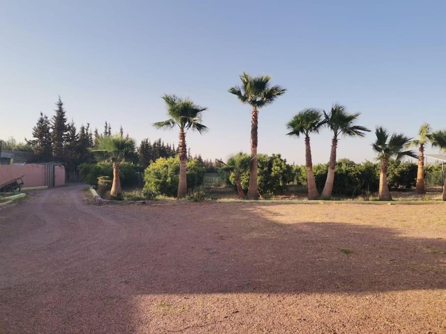 Marrakech Luxury Farm *