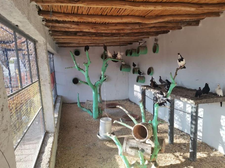 Marrakech Luxury Farm * Marrakesh