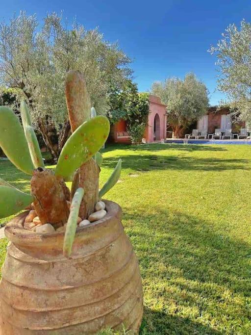 Villa Villa-riad Nejma Marrakesh