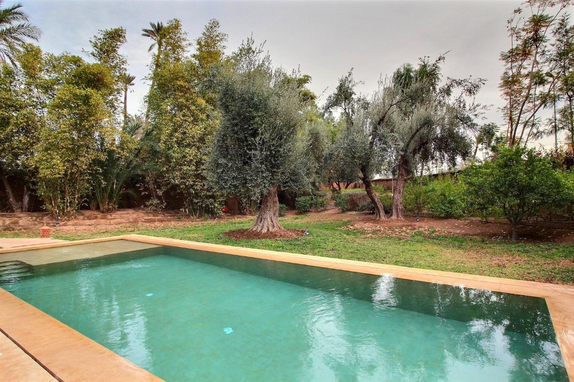 De Luxe Kasbah Amazigh