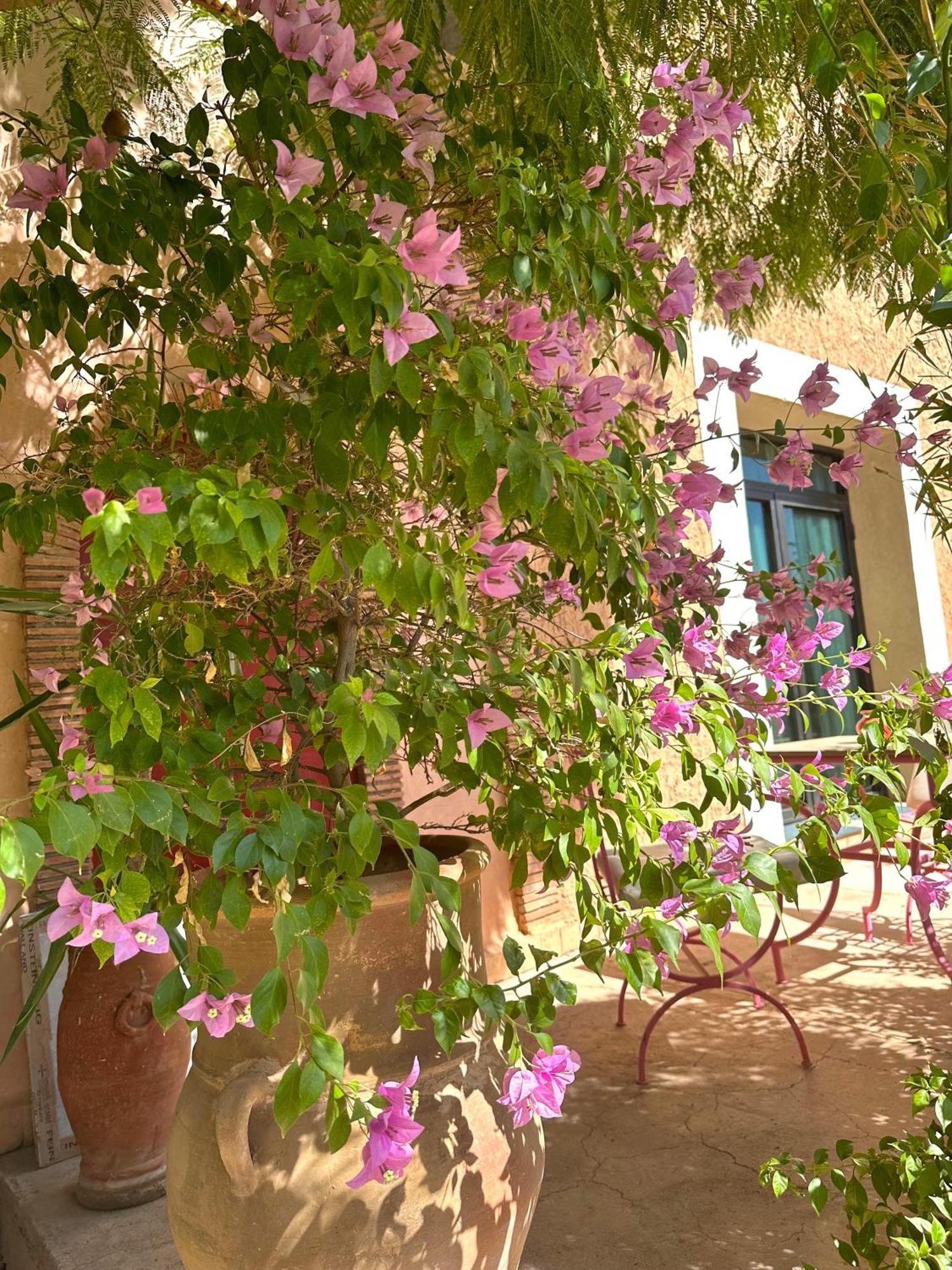 Hotel La Des Golfs & Pinkcactus Marrakesh