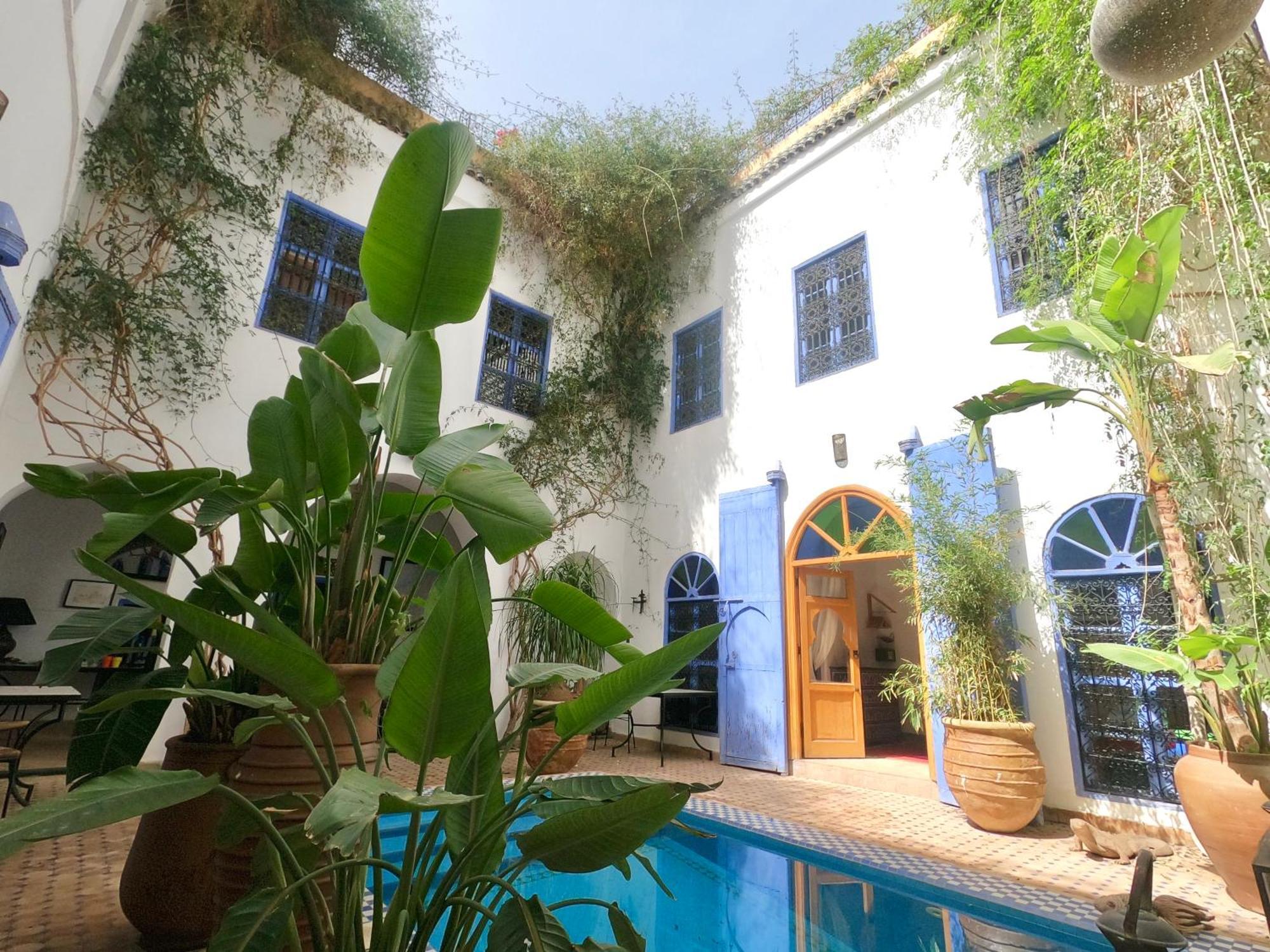 Riad Chameleon *