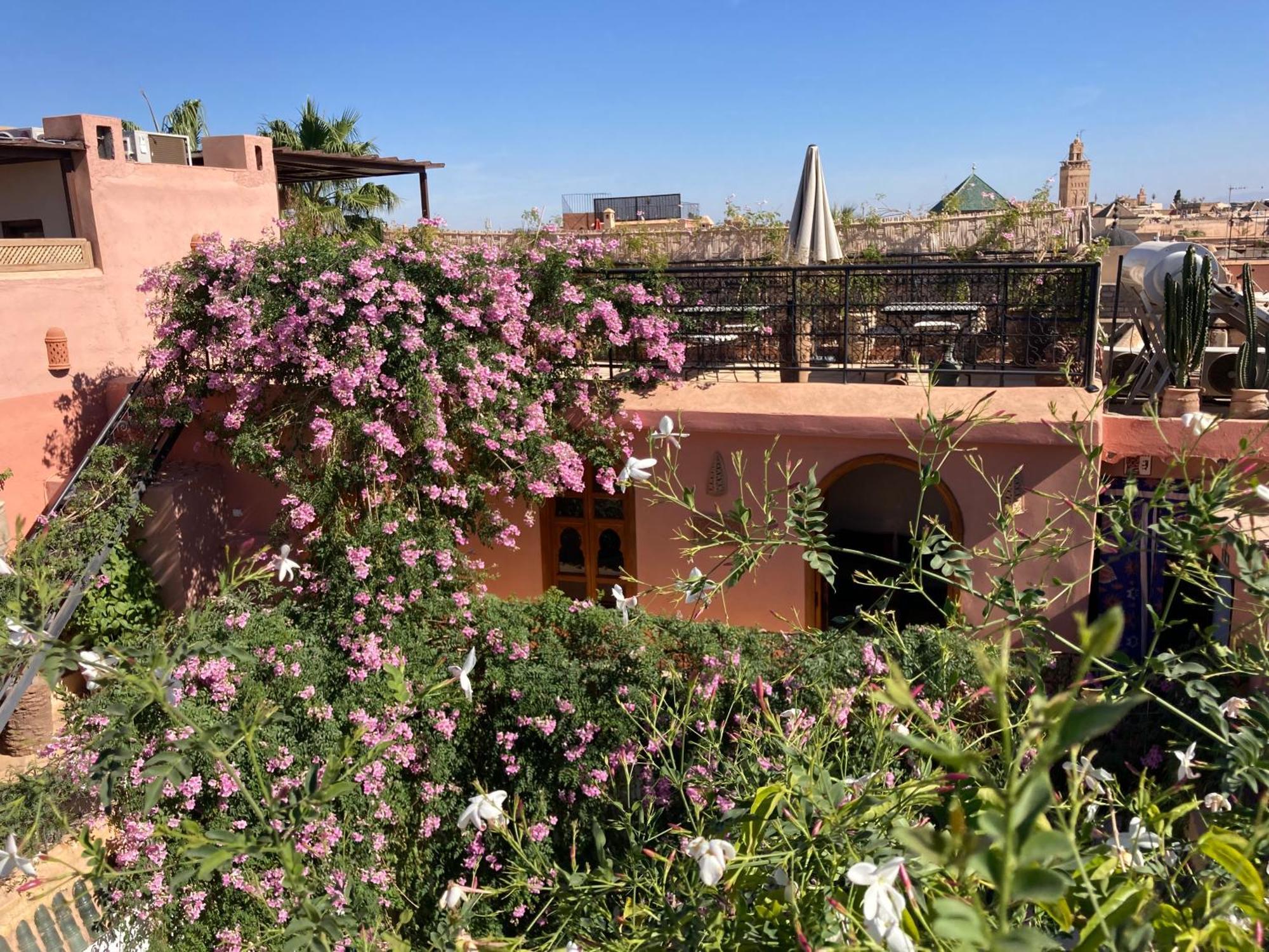 Riad Chameleon Marrakesh
