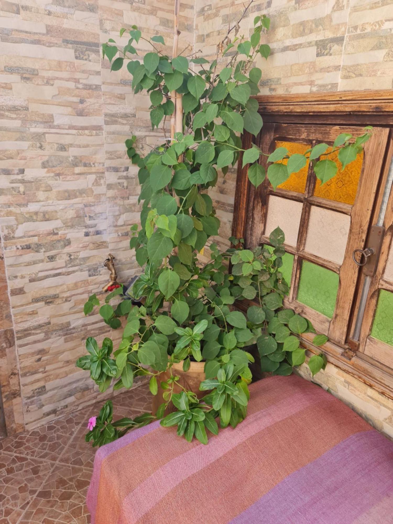 Bab Almadina Marraquexe
