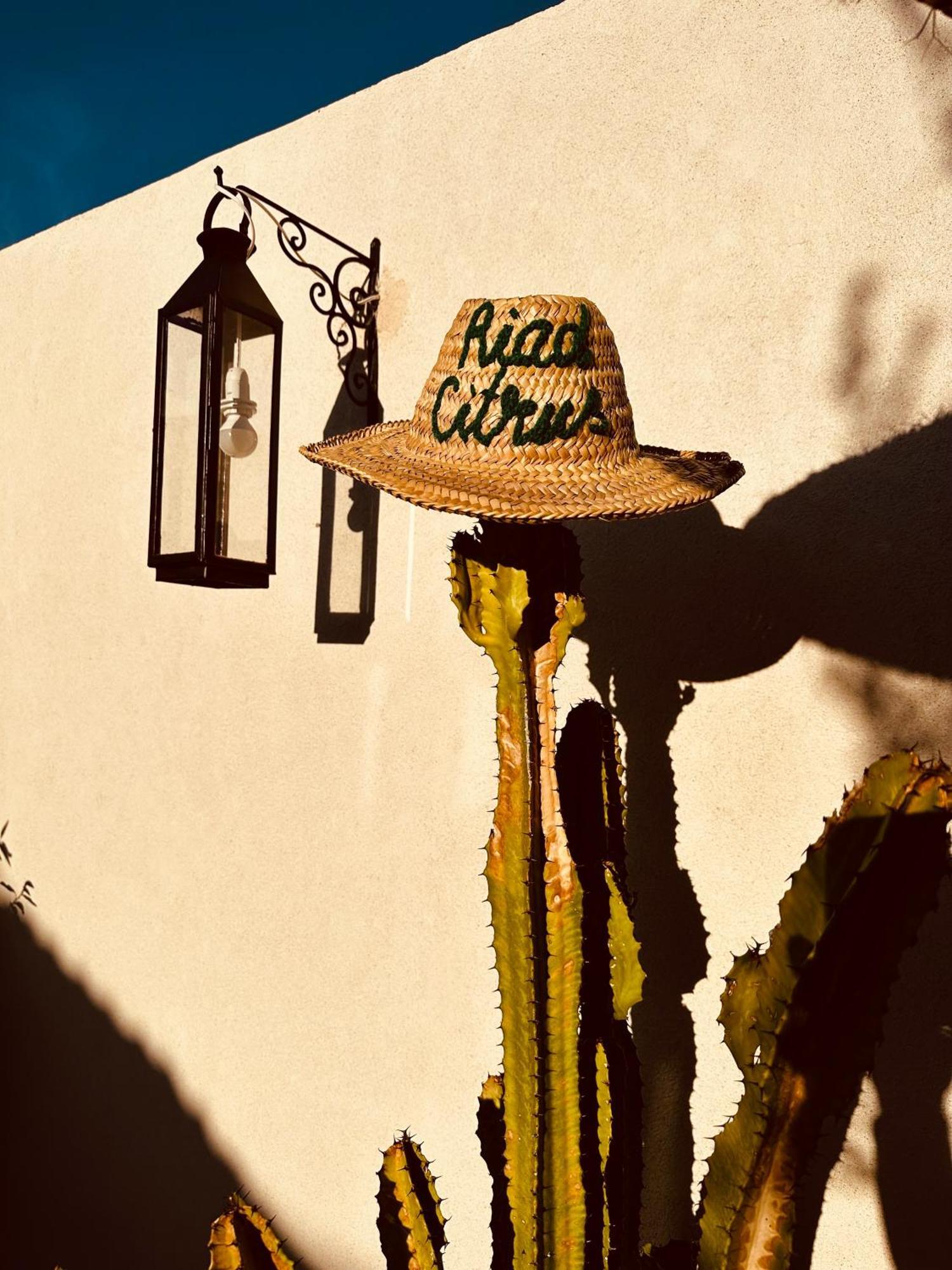Citrus By La Siredrah Riad Marrakesh