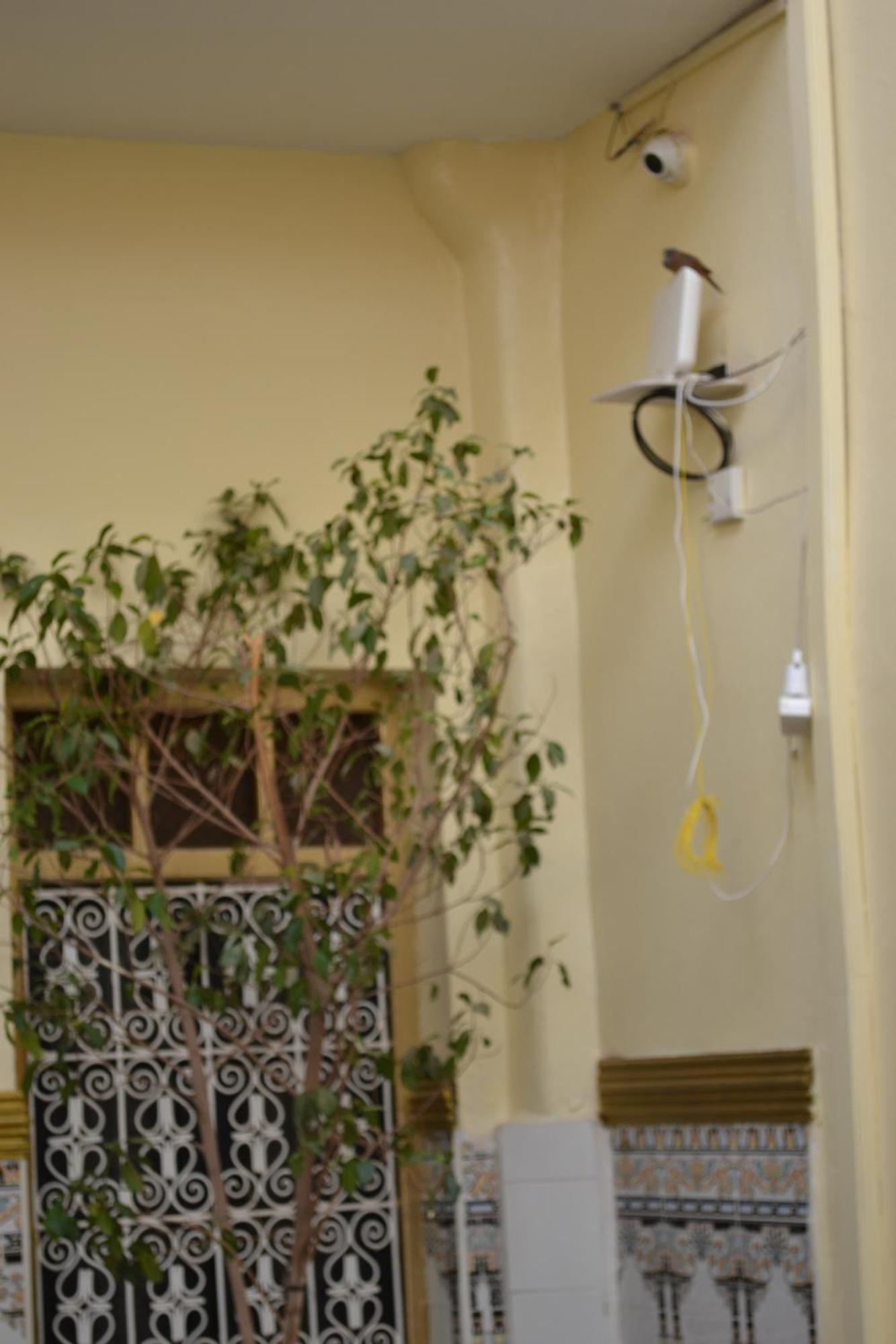 Zagora * Marrakesh