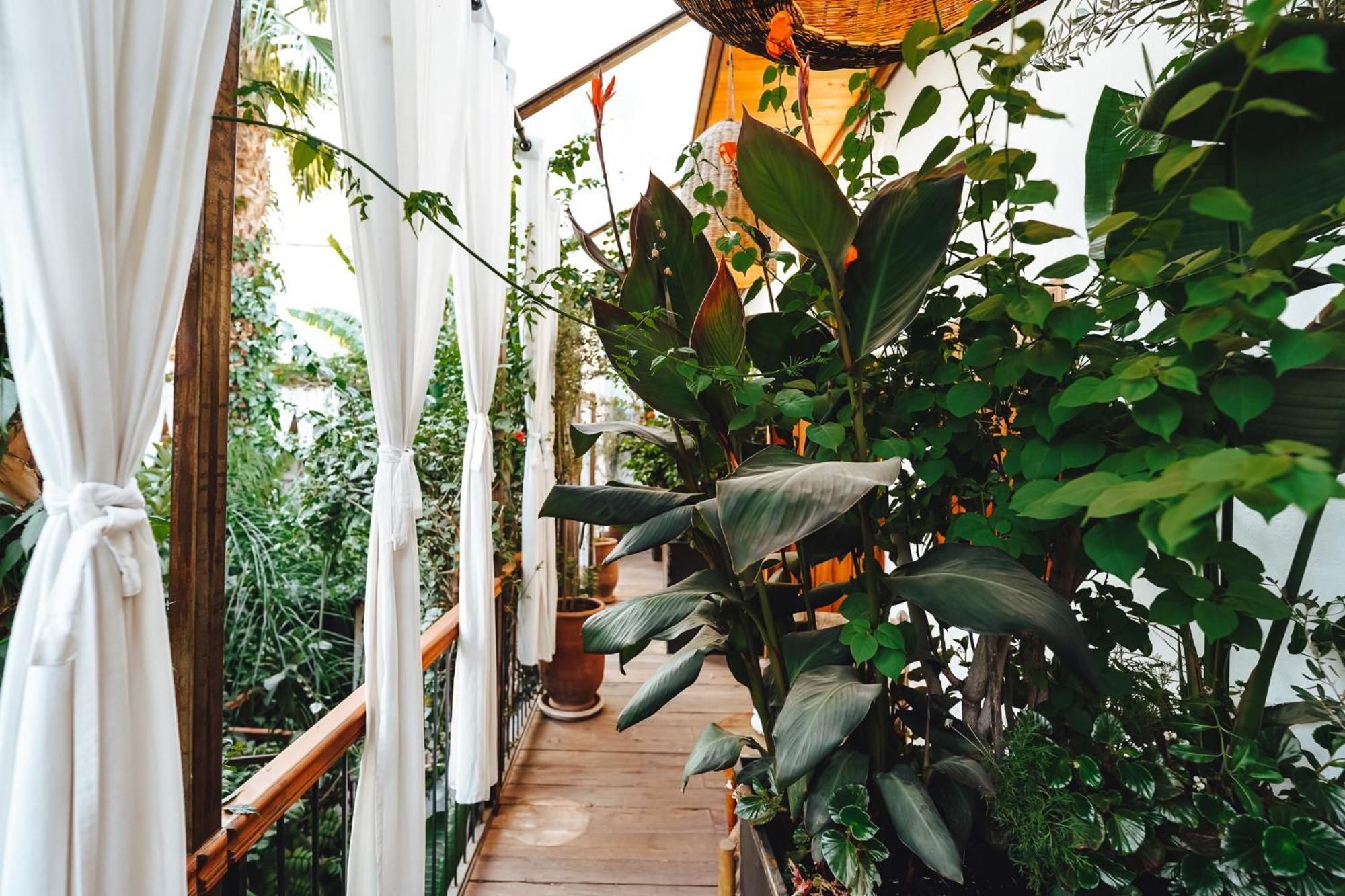 La Ferme Medina Riad