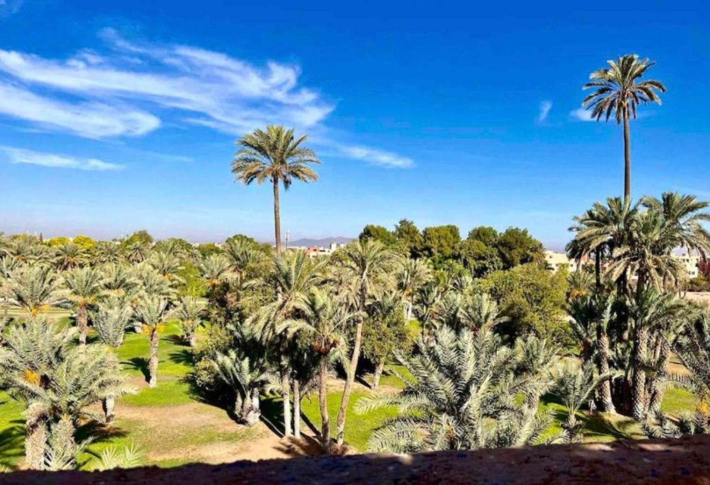 Ccb * Marrakesh