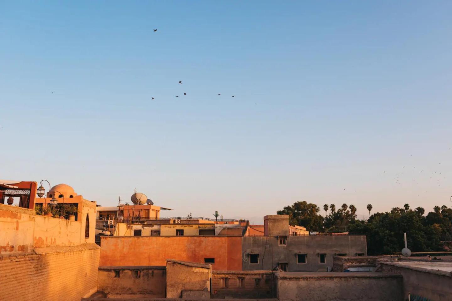 Siena Ii * Marrakesh