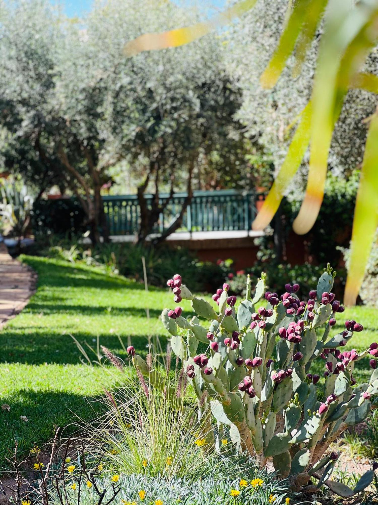 Pavillon Du Golf -palmeraie Hotel 5*