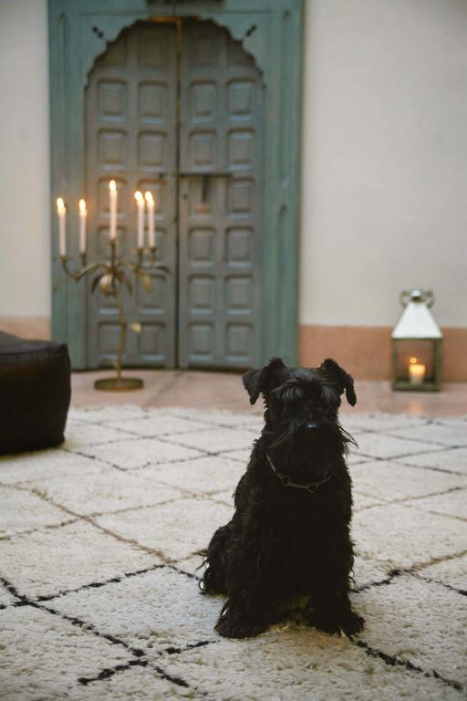 Riad Le J