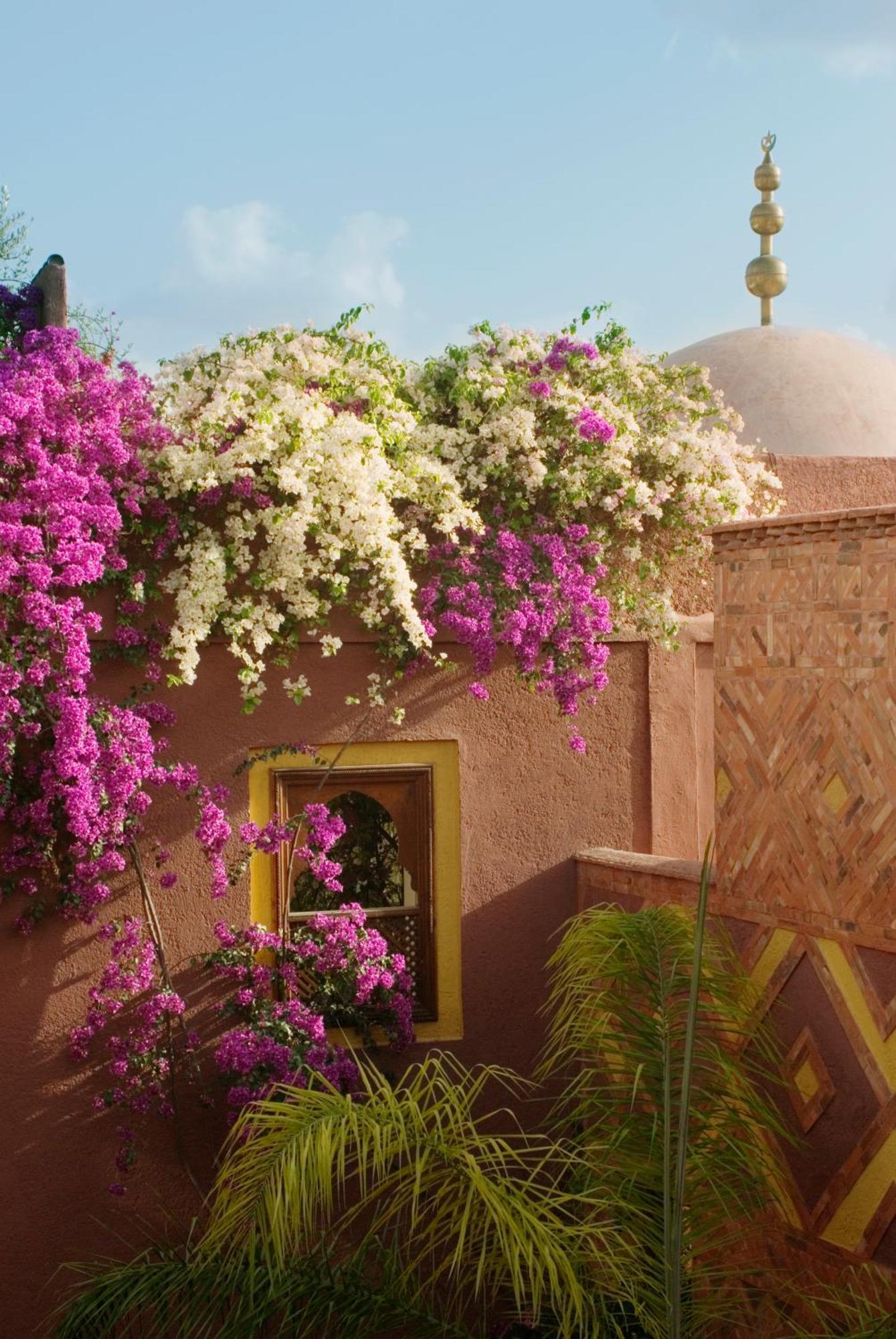Riad Noga