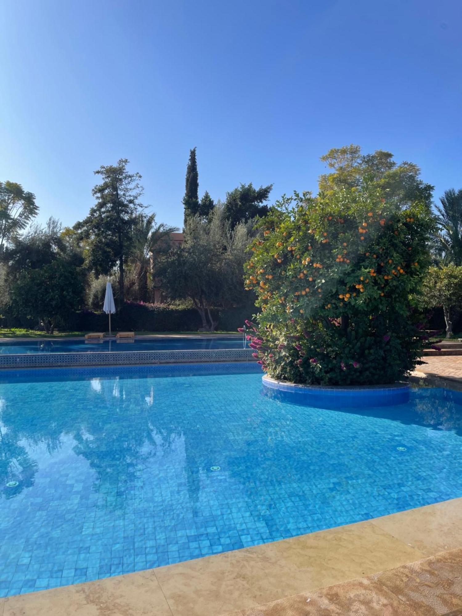 Apartment Au Coeur De La Palmeraie De Marrakech Marrakesh