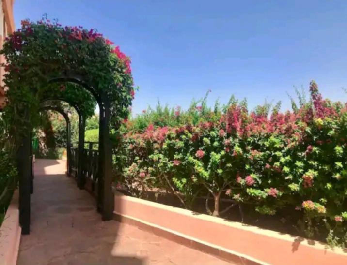 Propriete De Vacances Village Privee Marrakech Avec Piscines Appartement *