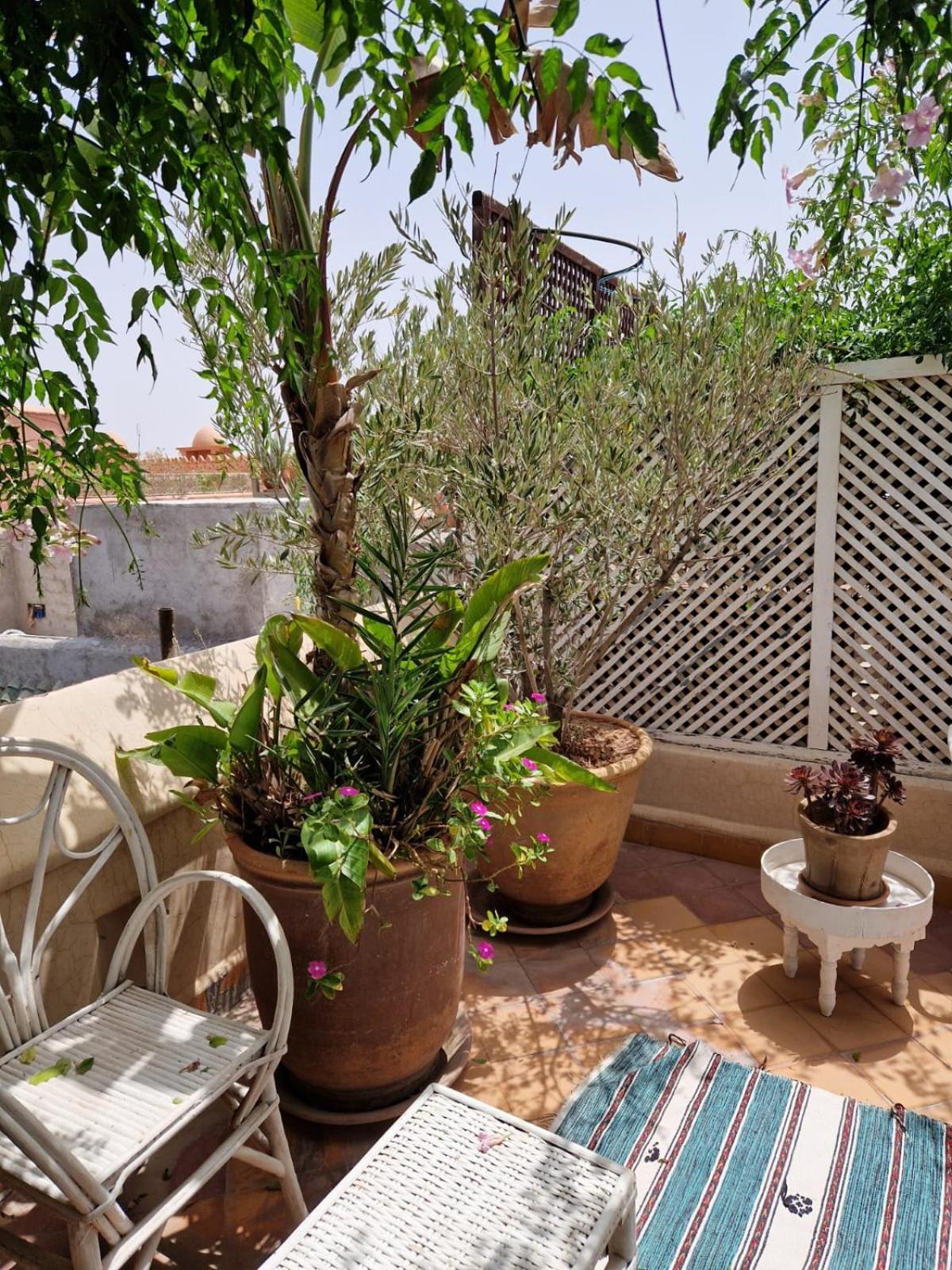 Made In Berbere Séjour chez l'habitant Marrakesh