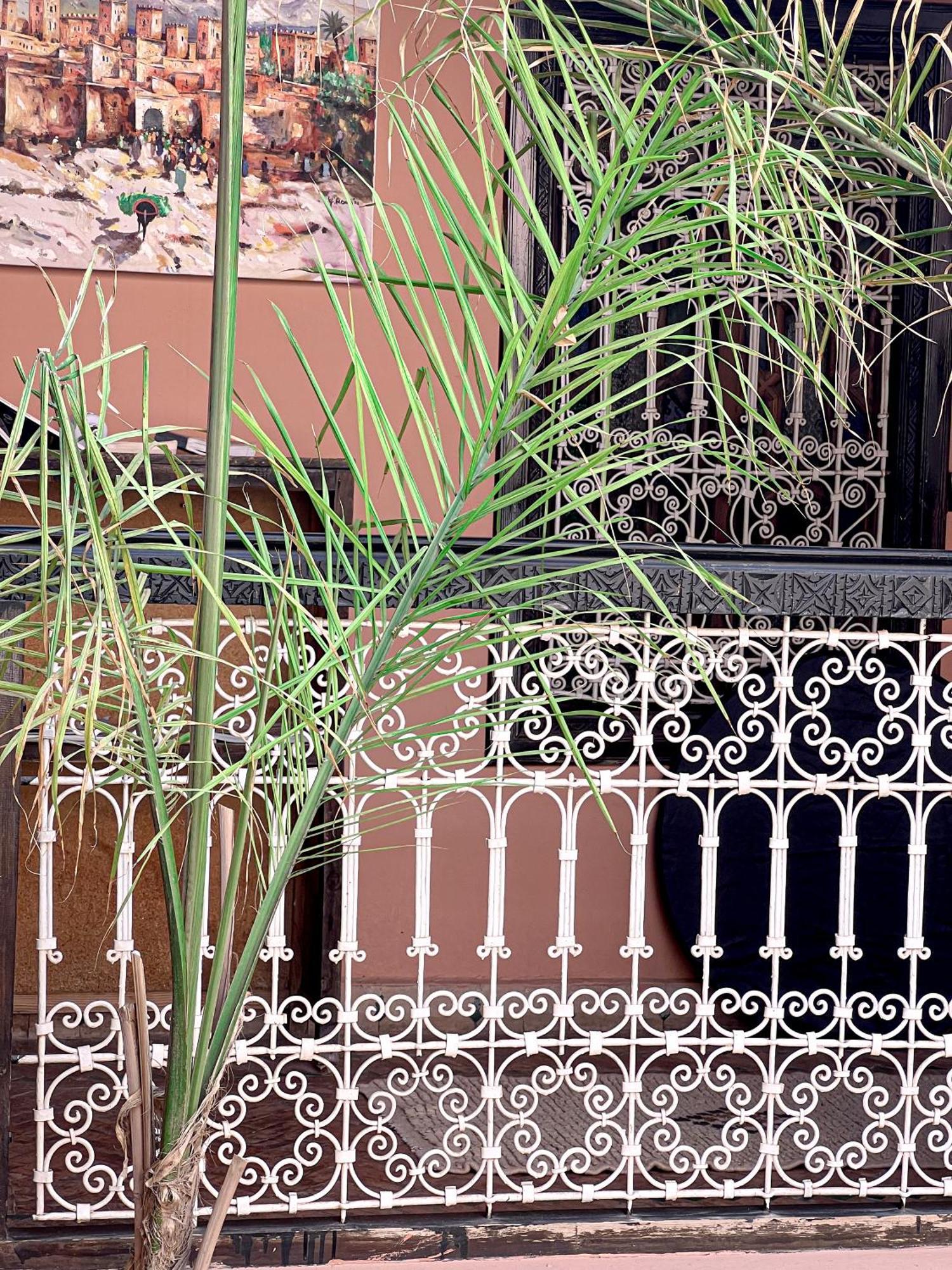 Guest house Musa Marrakesh