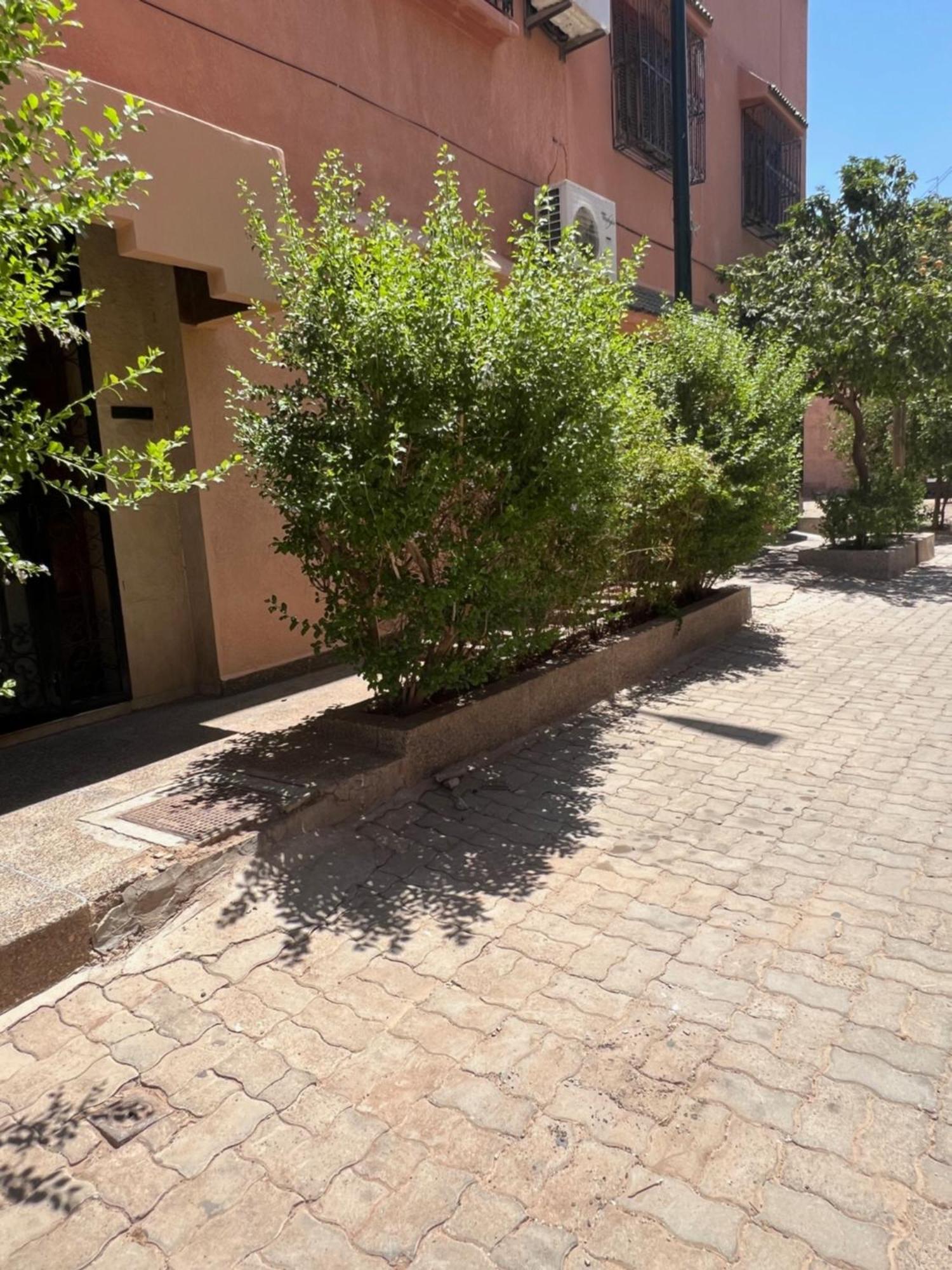 Spacieux Avec Cour Fleurie Et Hammam A Targa Marrakech Appartement