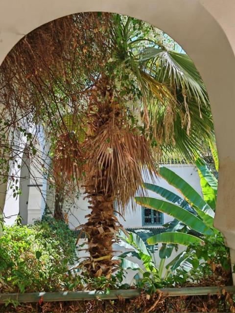 Maison Bounouar Guest house