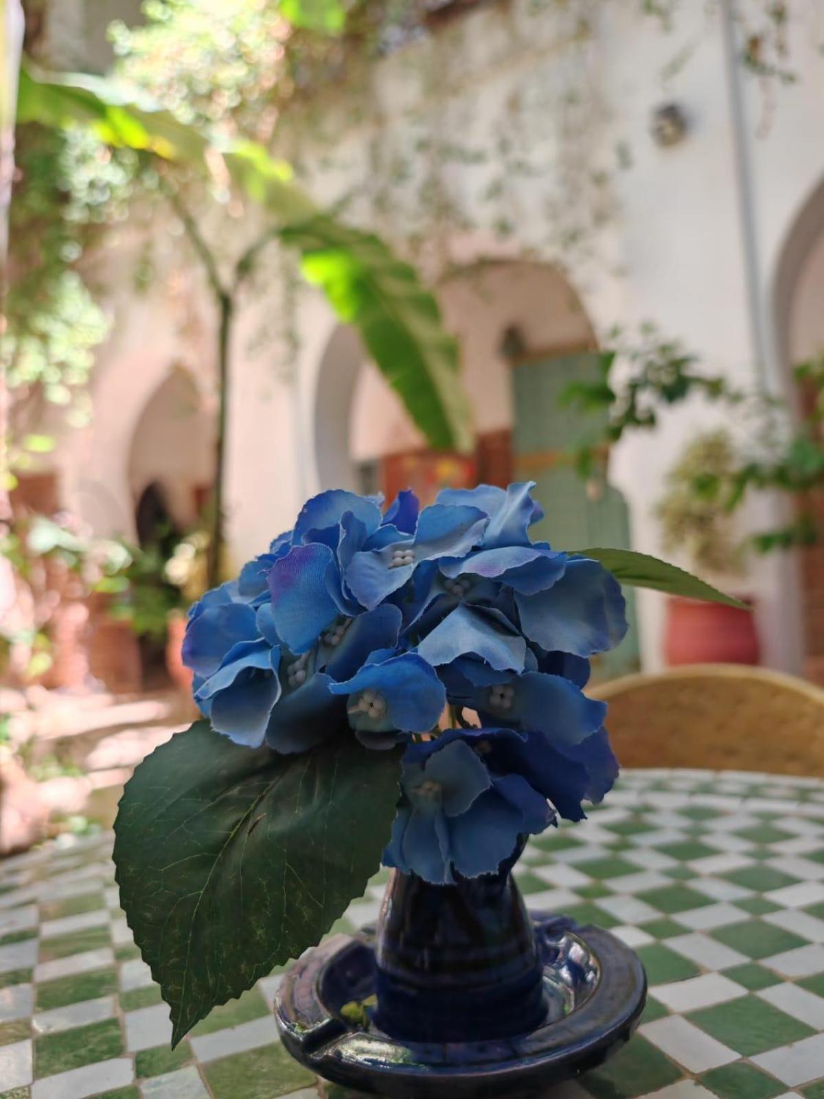 Guest house Maison Bounouar