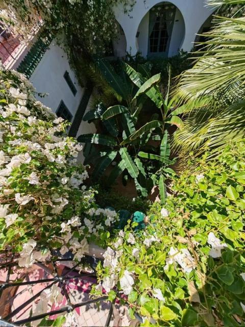 Maison Bounouar Marrakesh