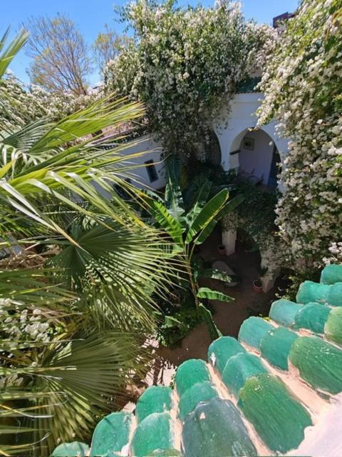 Maison Bounouar * Marrakesh