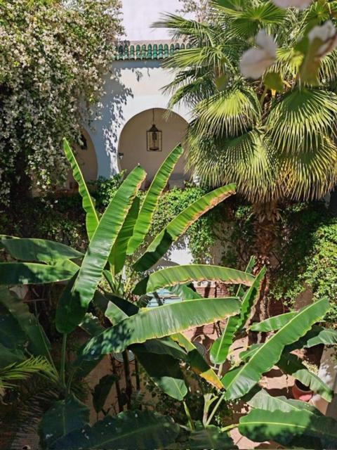 Maison Bounouar Guest house Marrakesh