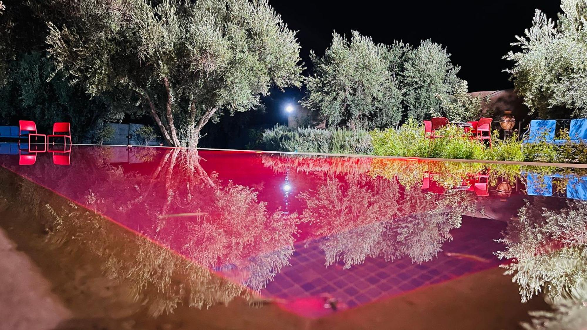 Serenity Olive Retreat Prive Marrakech Villa Marrakesh