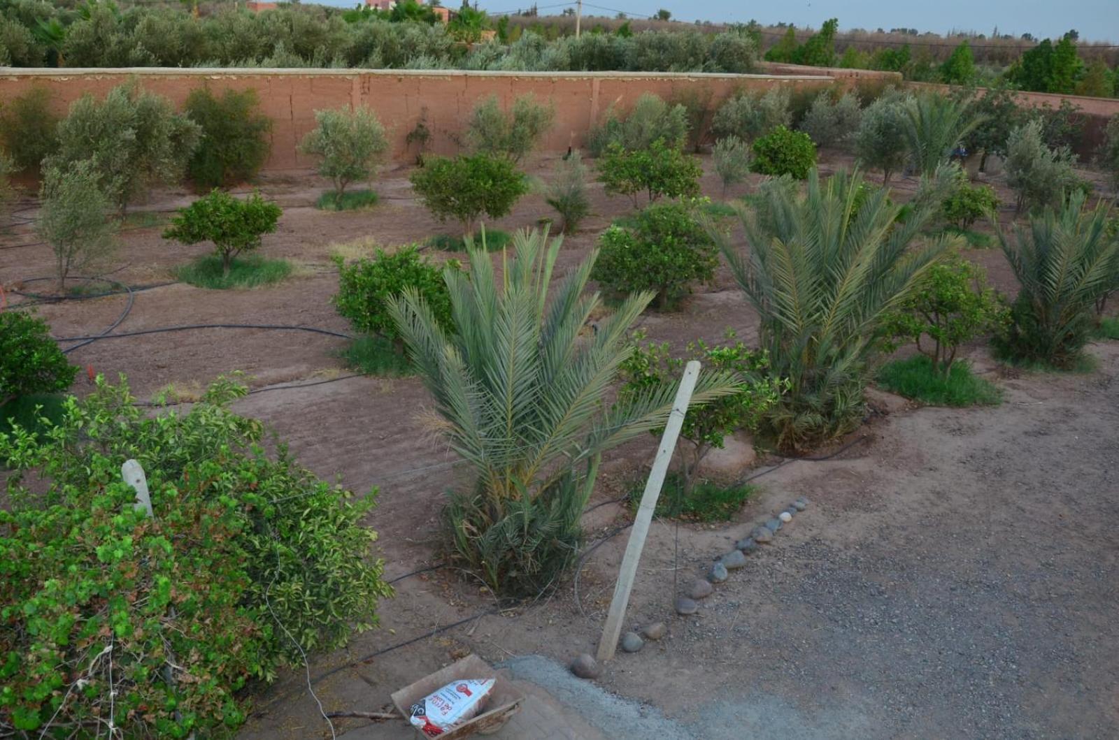 Dar Marjana *