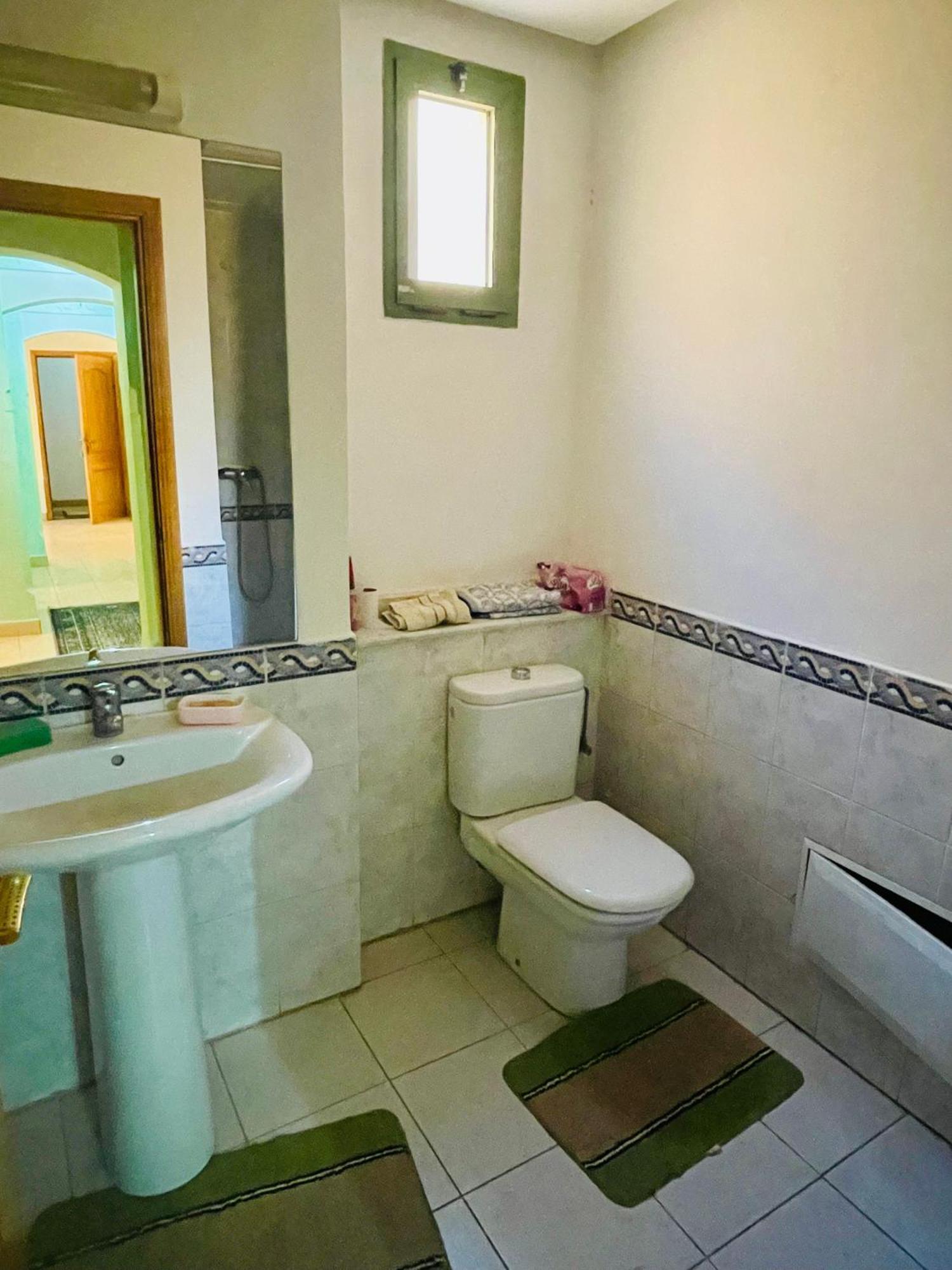 Apartment Palacio Luxury *