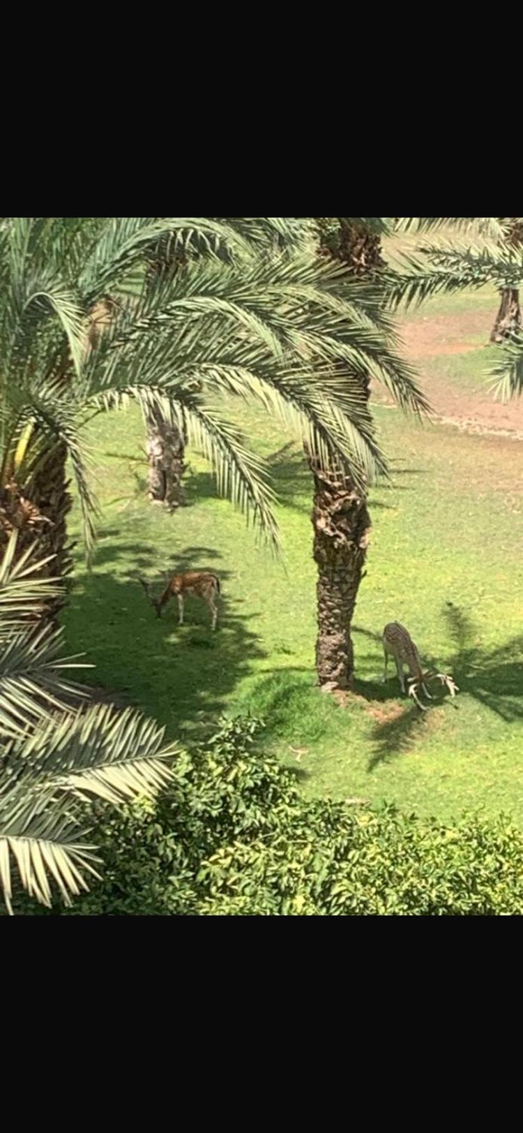 Holiday home Nolya Luxury Marrakech - Totalement Renove - Capacite Jusqu A 10 Lits Spacieux Marrakesh