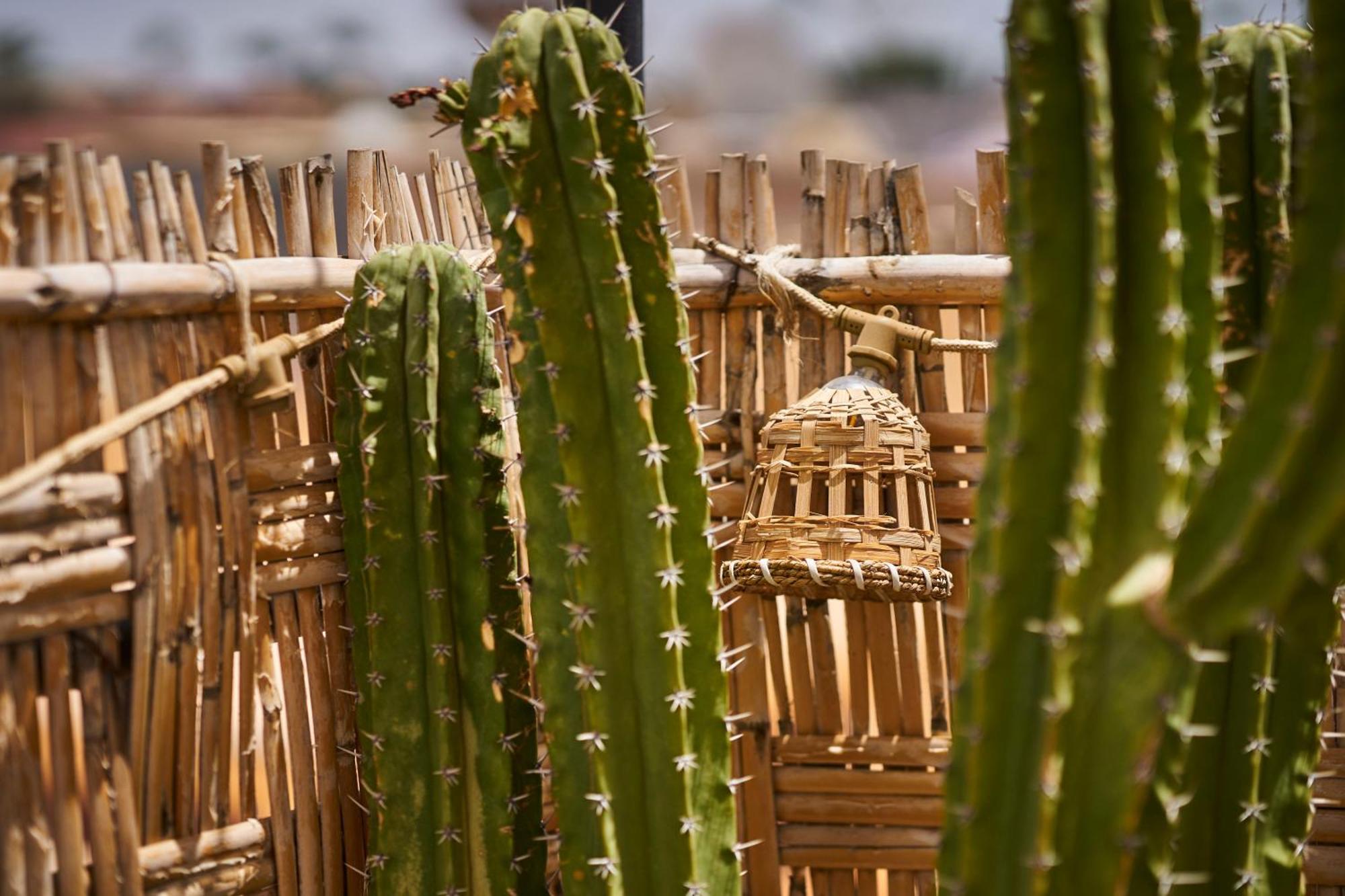Hébergement de vacances Kbala Marrakesh