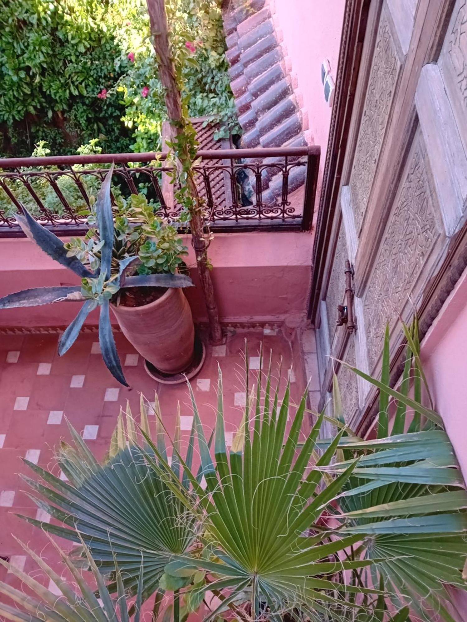 Lumieres Du Sud