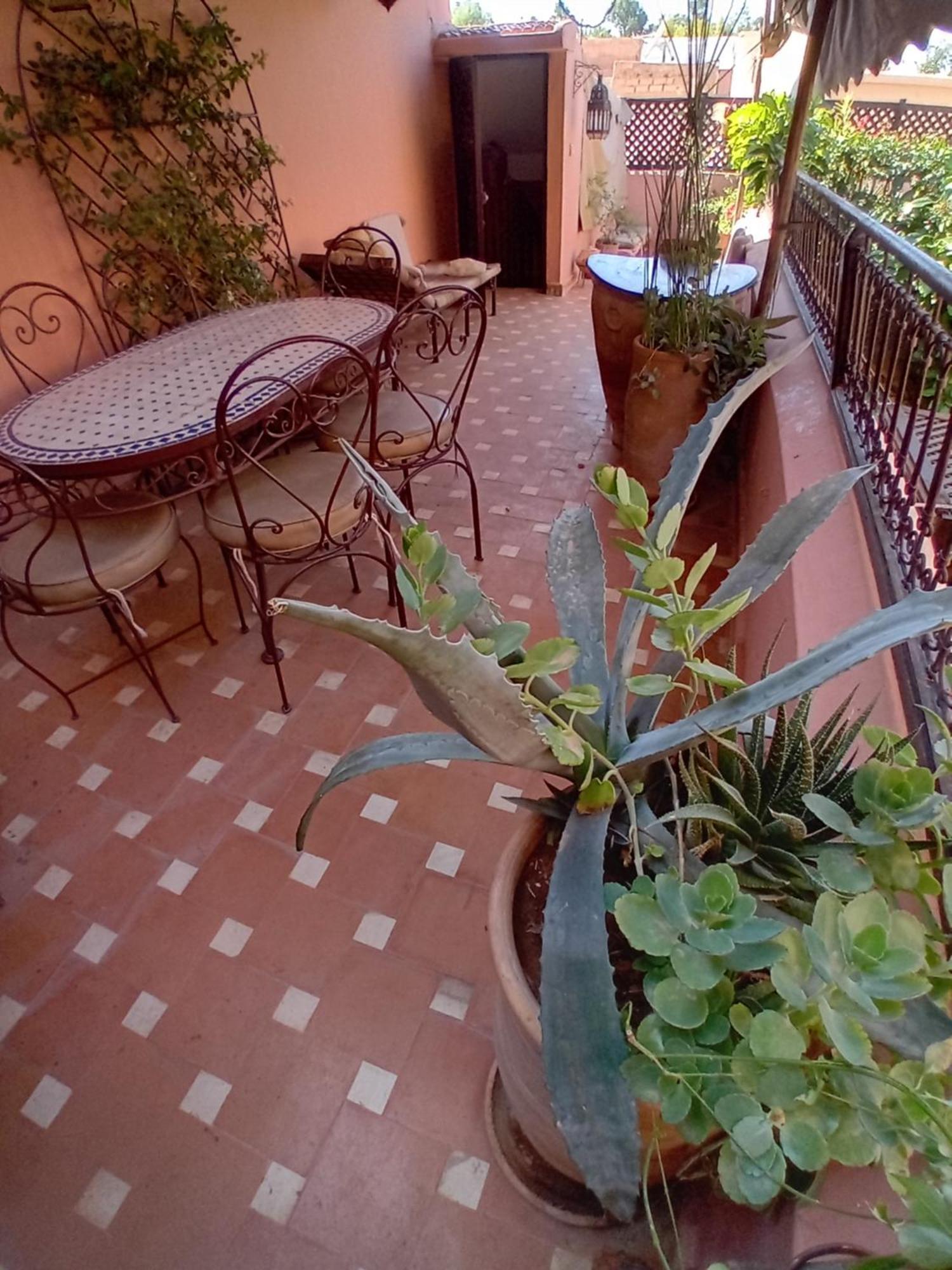 Riad Lumieres Du Sud *