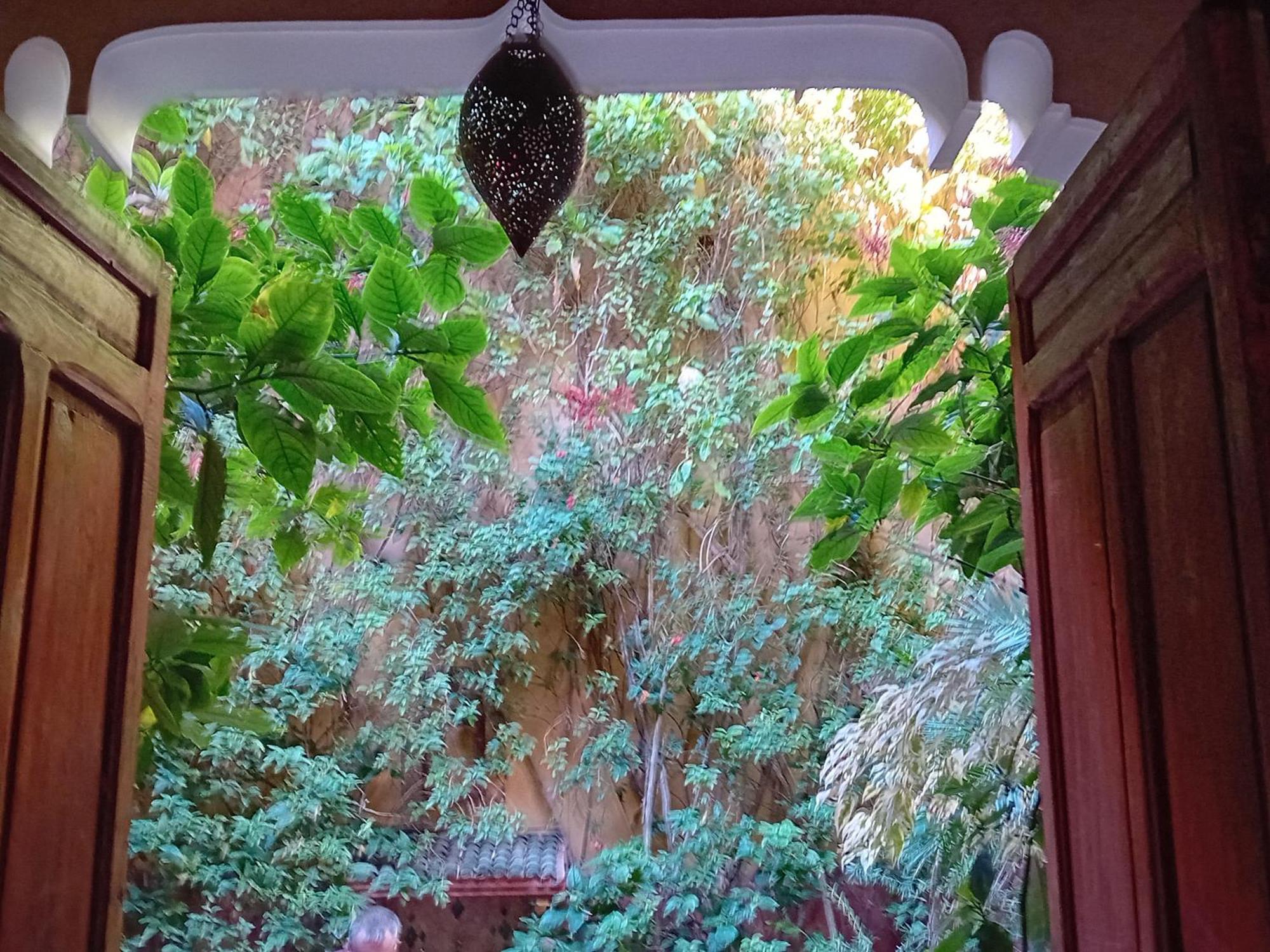 Lumieres Du Sud Marrakesh