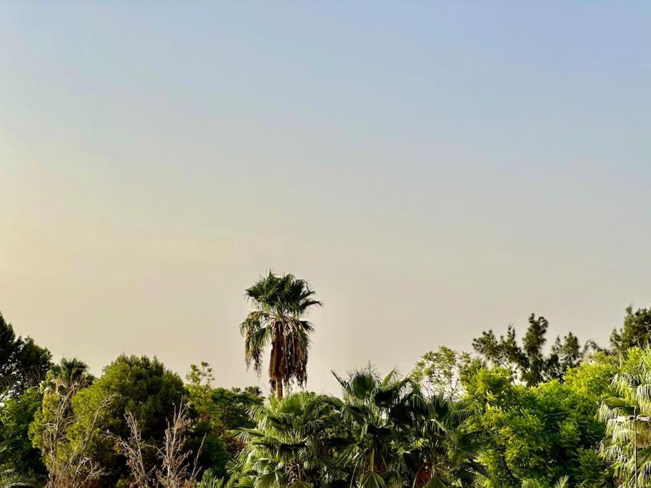 Triplex Spacieux Et Familial Avec Vue Panoramique * Marrakesh
