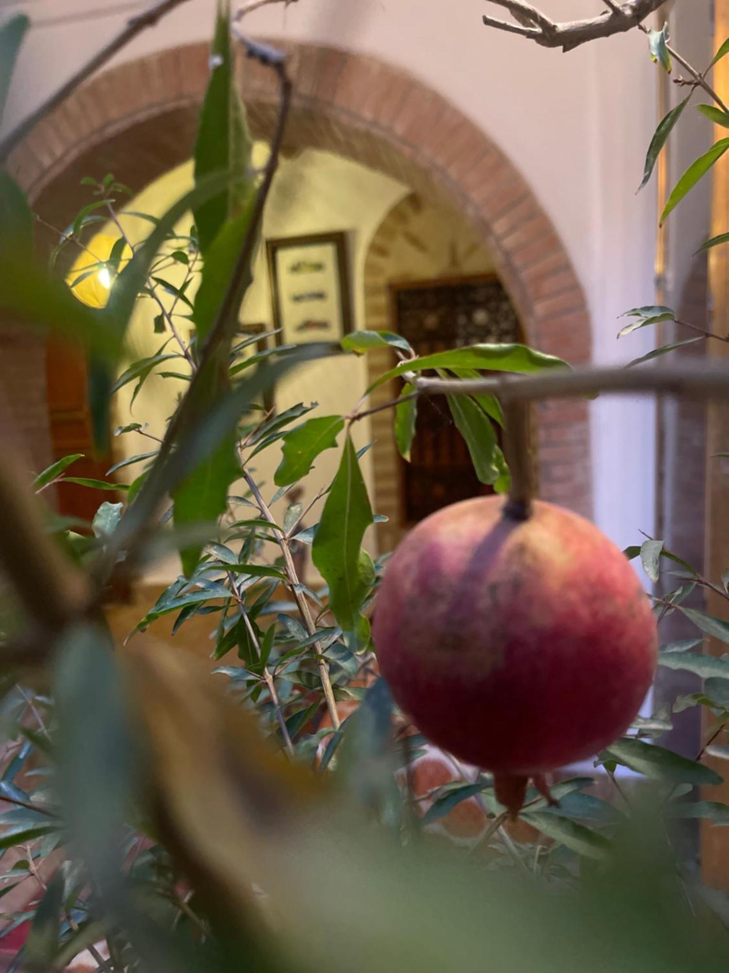 La Maison Berber Shams * Marraquexe