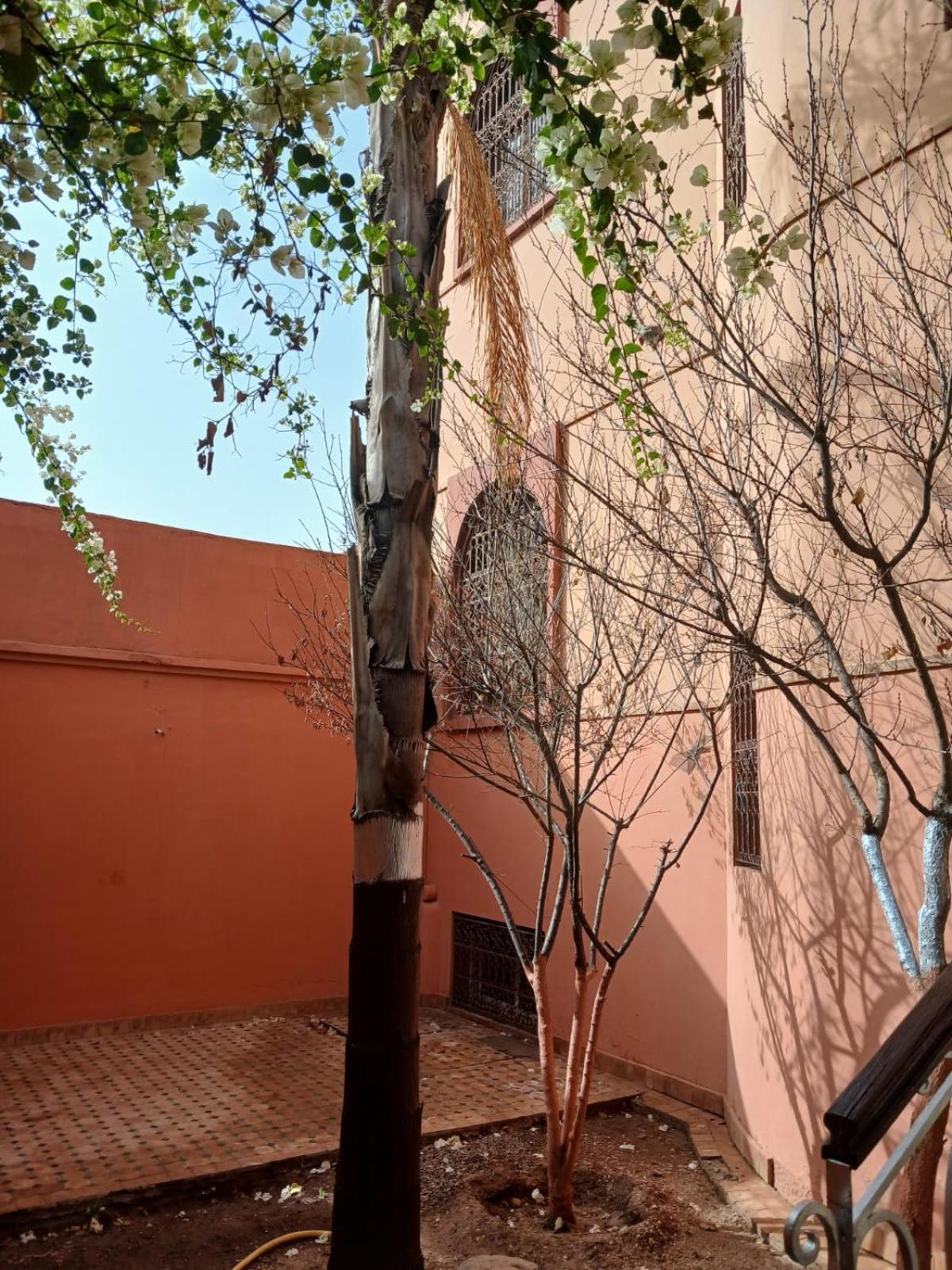 Lmima Malika * Marrakesh