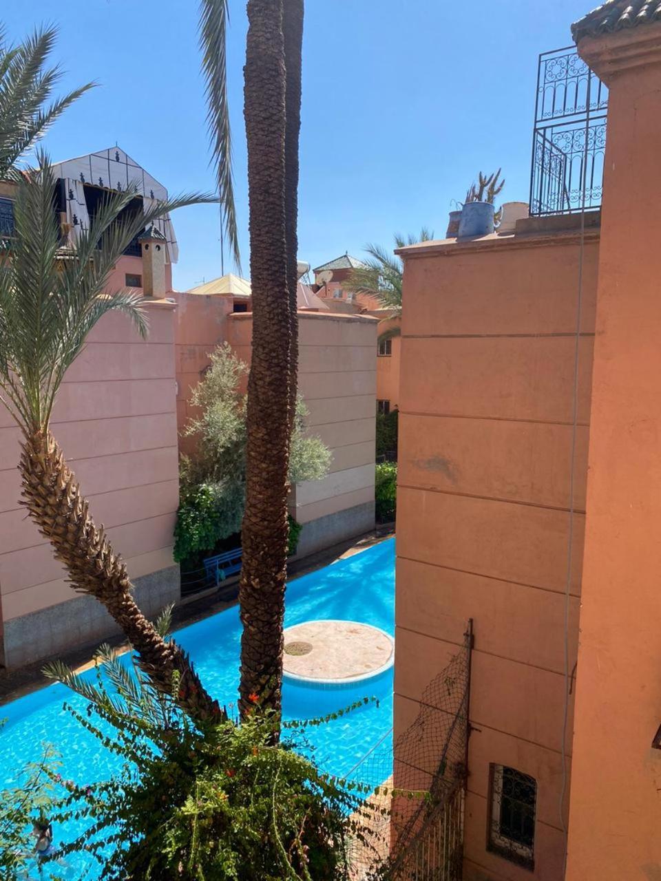 Tichka Piscine Palmeraie Riad Marrakesh